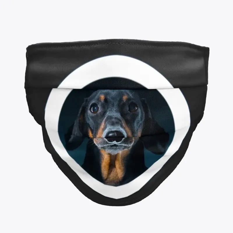 Doxie Din - not just a dachshund