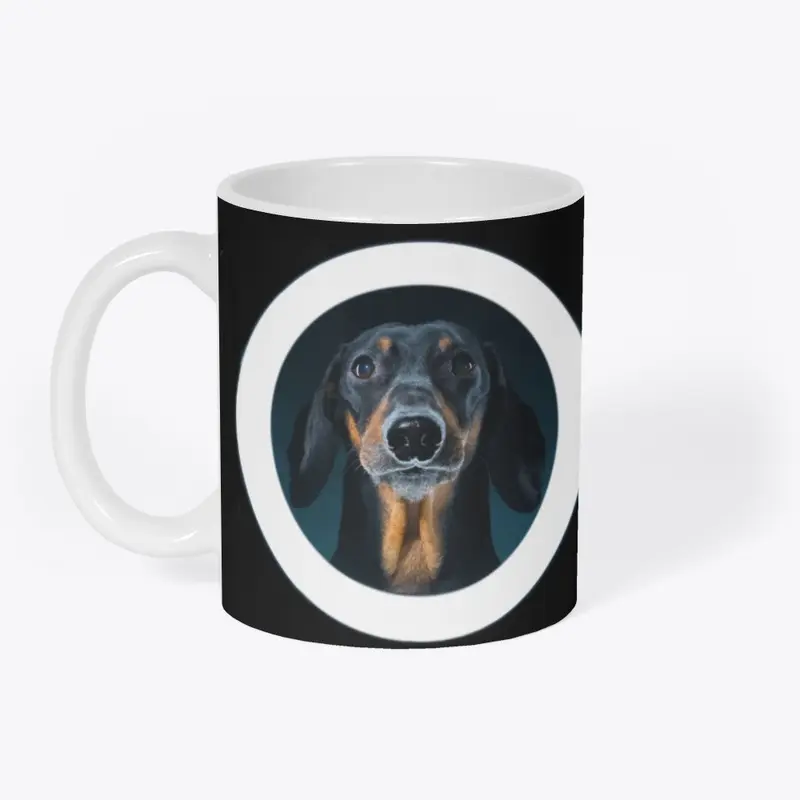 Doxie Din - not just a dachshund