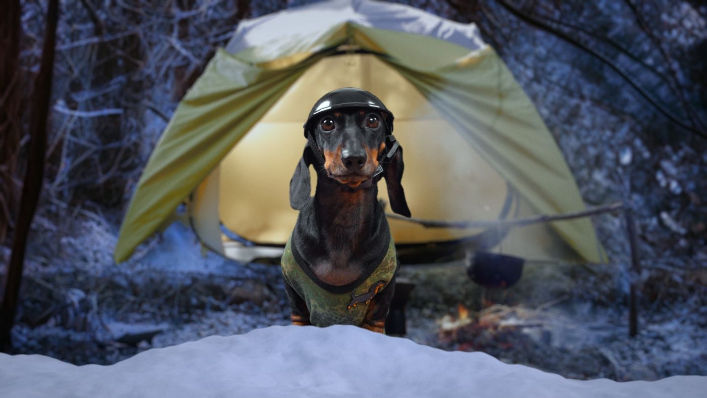Bark Grylls