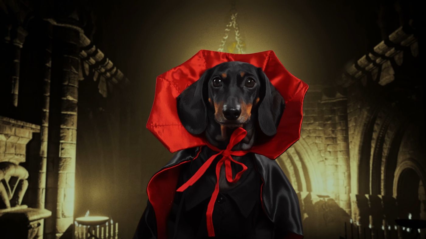 Count Barkula