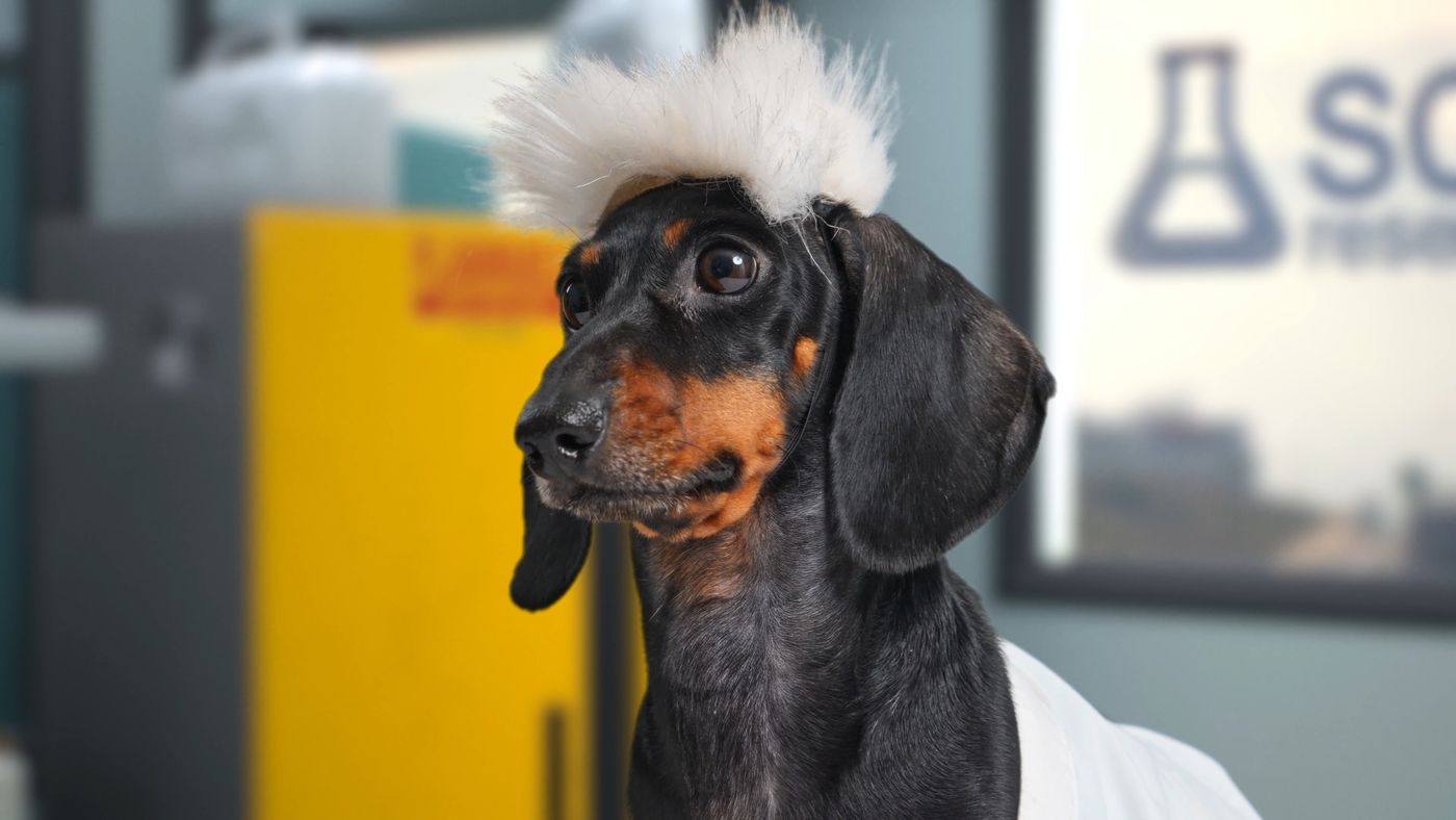 Dr. Barkovitz