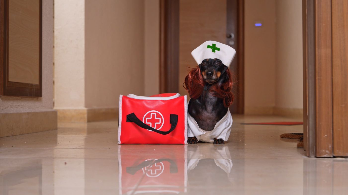 Dr. Doctorina