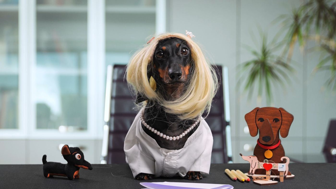 Dr. Pawsitive