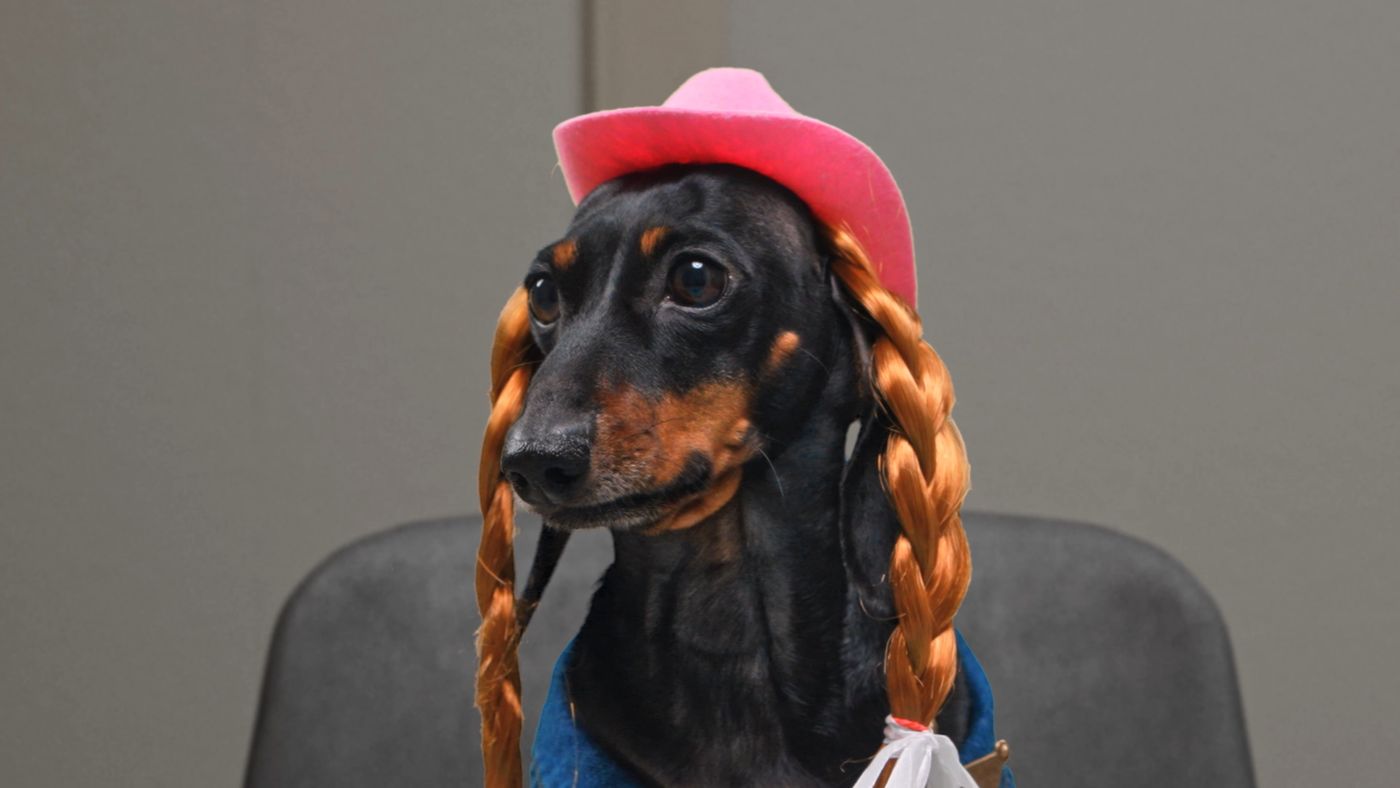 Jane Dog