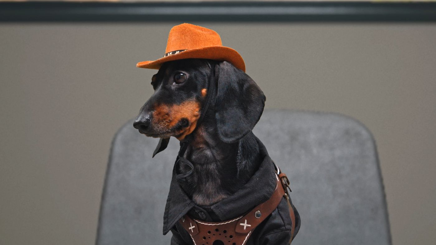 John Dog