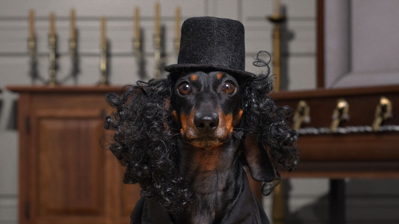 Mr. Grimtail