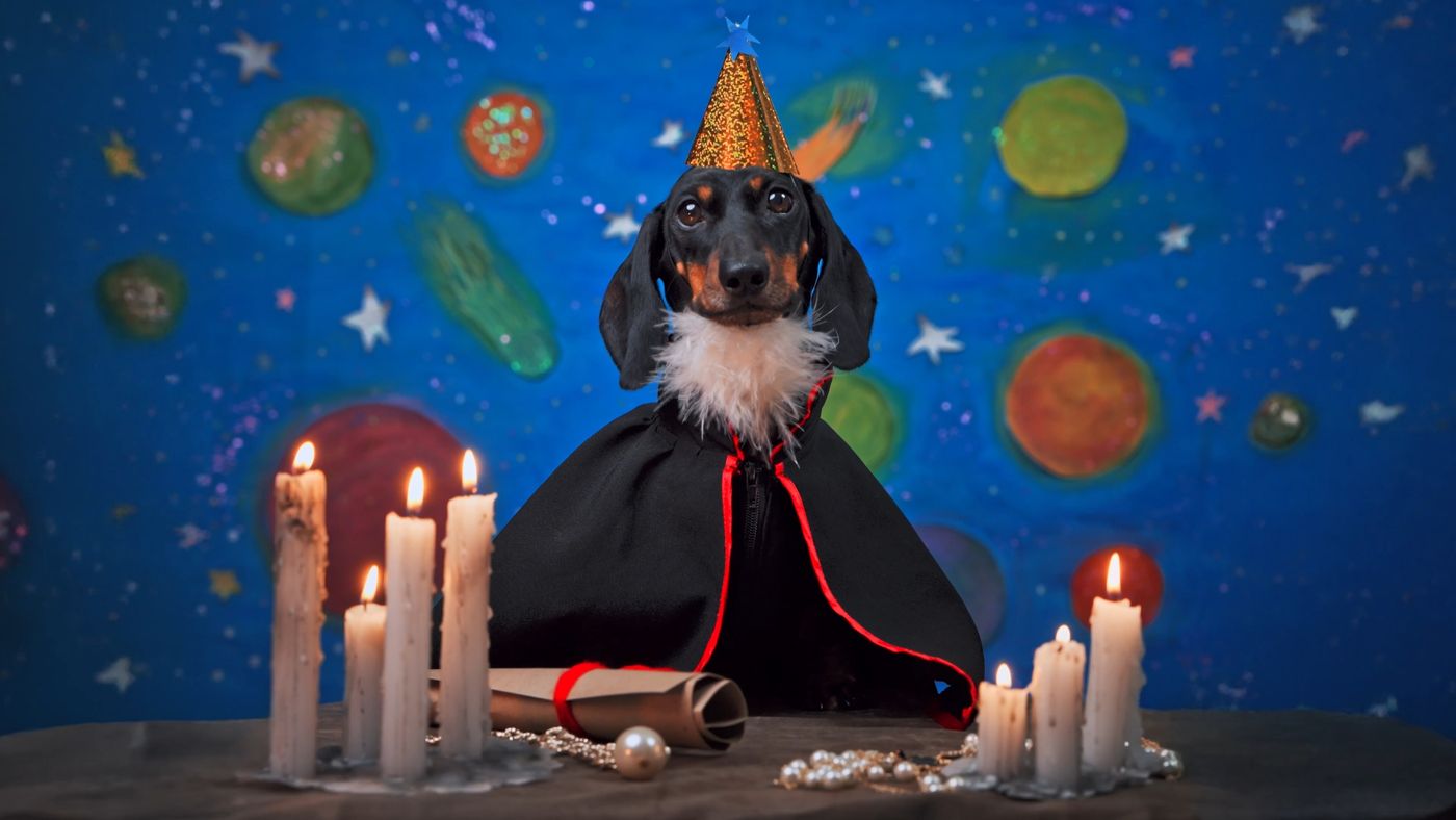 Pawstradamus