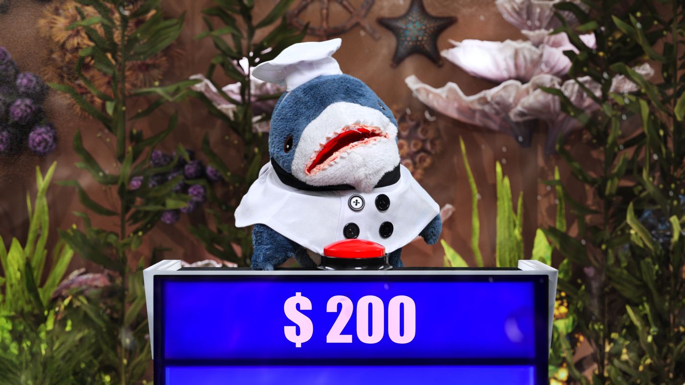 Salty MacShark