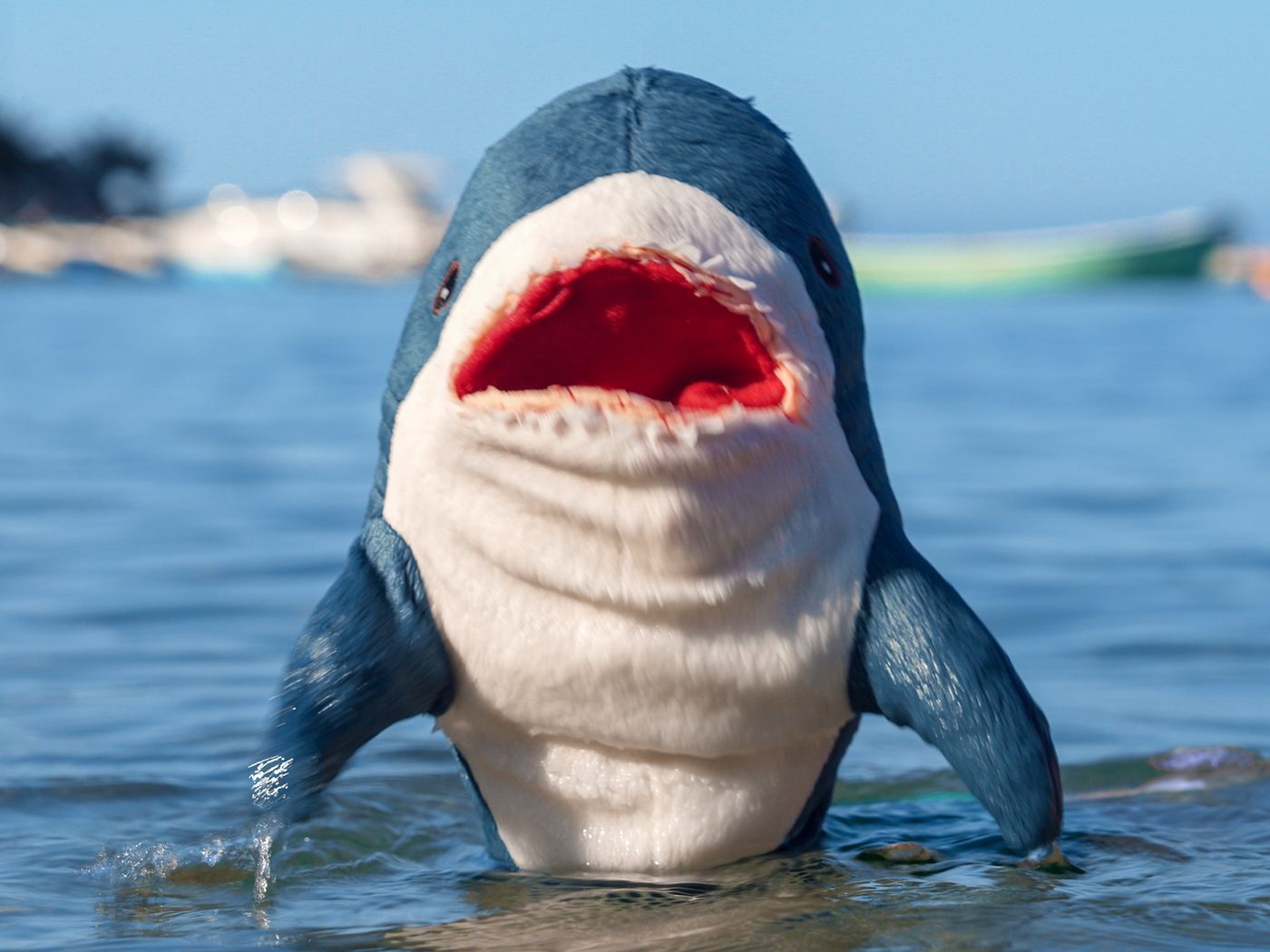 Shark